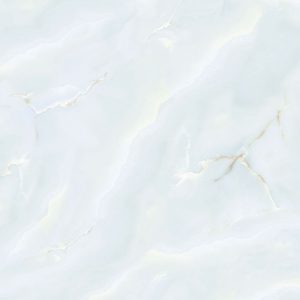 VP6561