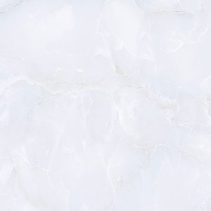 VP6564