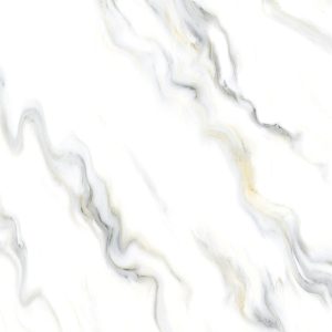 E6036